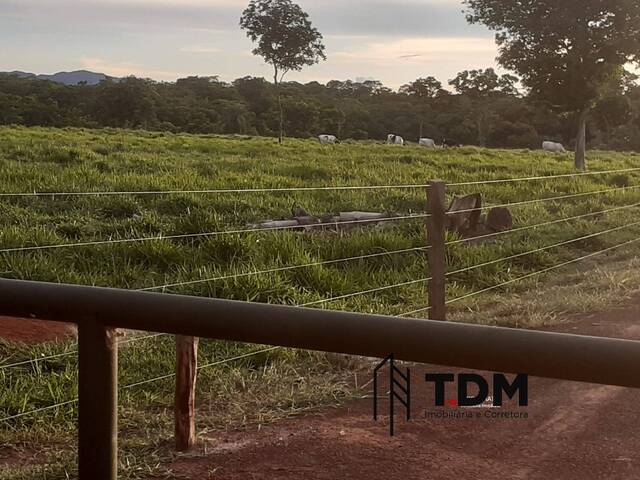 #287 - Chácara para Venda em Barra do Bugres - MT - 2
